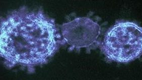 NHỮNG CẬP NHẬT QUAN TRỌNG VỀ CORONA VIRUS CHO BÁC SĨ NHÃN KHOA