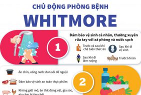 CẢNH GIÁC VỚI BỆNH DO VI KHUẨN WHITMORE GÂY RA SAU LŨ LỤT